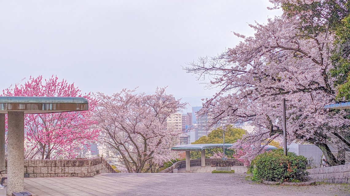 比治山公園 日刊わしら Hiroshima Daily Washira