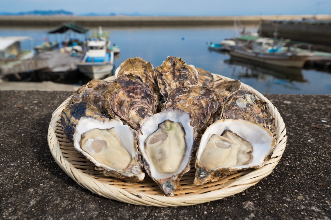 牡蠣食う研 日刊わしら Hiroshima Daily Washira