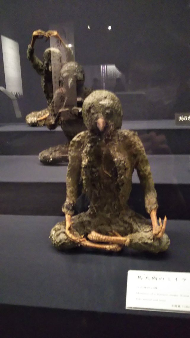 烏天狗のミイラ！ | 日刊わしら - HIROSHIMA DAILY WASHIRA