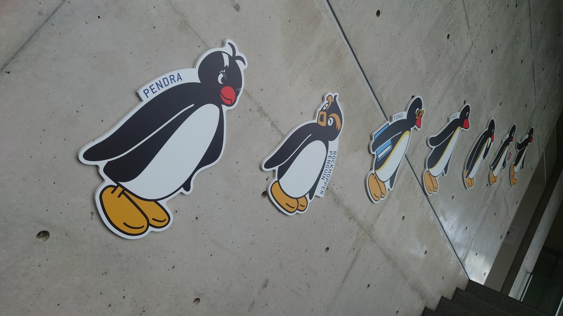 ピングーに会いに 日刊わしら Hiroshima Daily Washira