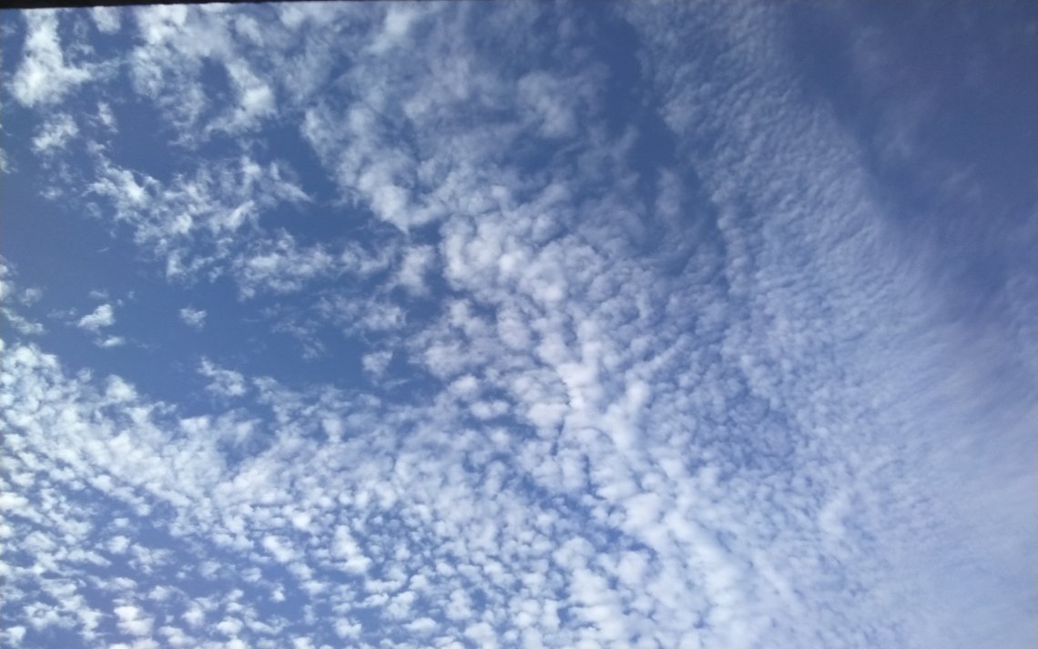 おはようございます 金曜日の朝です 空に雲が畑のように広がっていました 日刊わしら Hiroshima Daily Washira