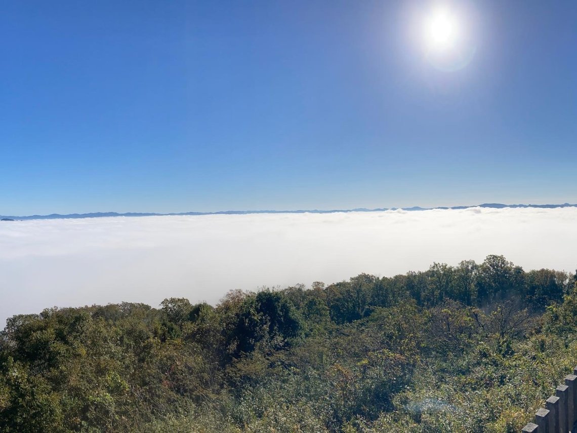 霧の海 日刊わしら HIROSHIMA DAILY WASHIRA