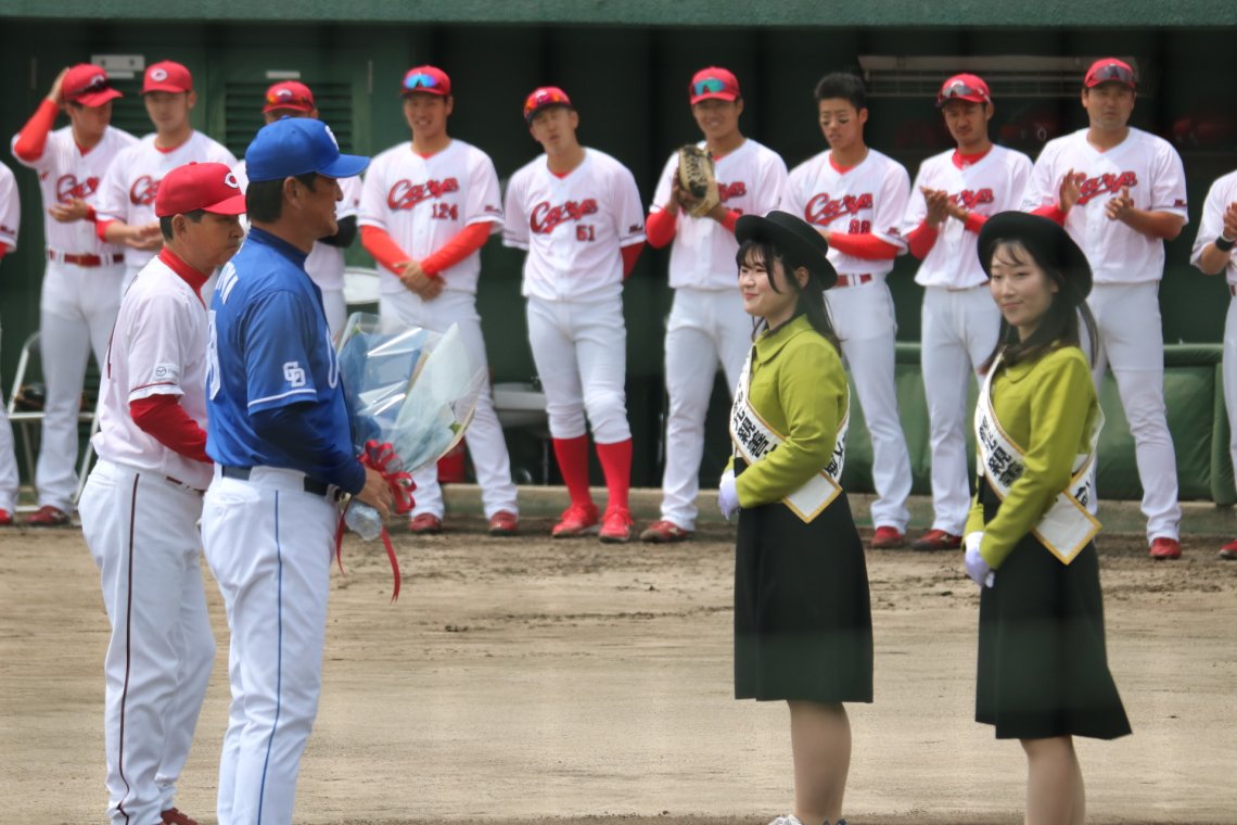 A！勤労感謝の日セール❗️グラキリス多頭 発根管理中 現地球 オキザリスブラジリエンシス 球根100個＋おまけ｜Yahoo!フリマ（旧