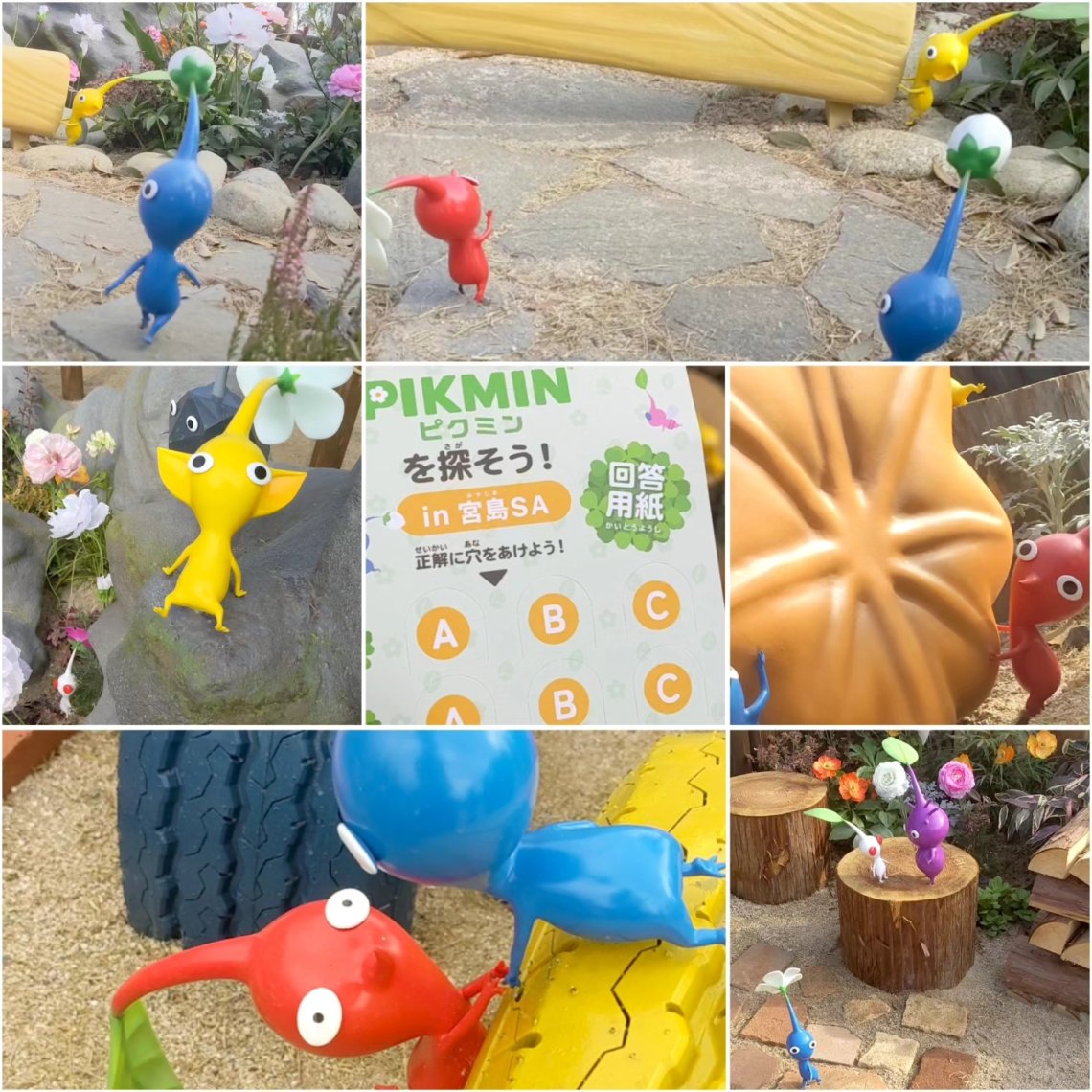 ピクミンテラス in 宮島SA | 日刊わしら - HIROSHIMA DAILY WASHIRA
