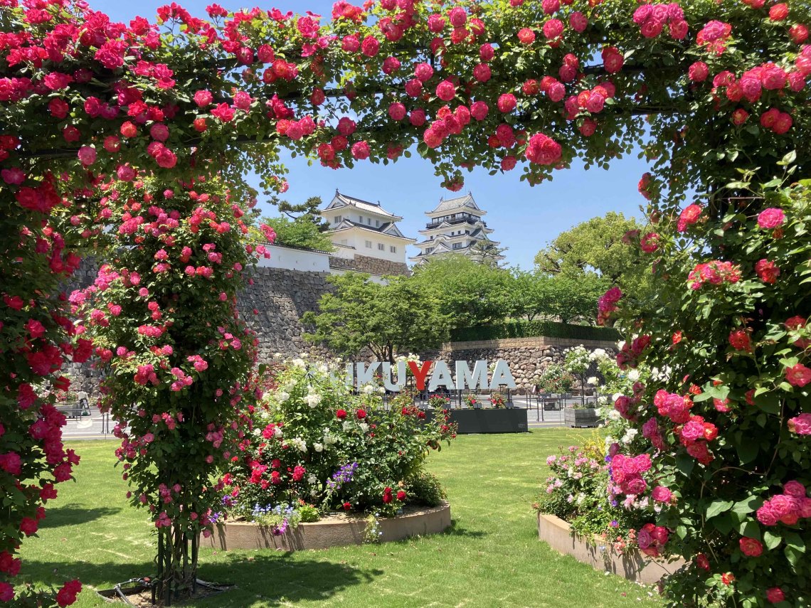 鉄緑会 高三古典 1式(バラ売り可) 鉄緑会 高三古典 1式(バラ売り可) 鉄緑会高3古典 鉄緑会 高三古典 1式