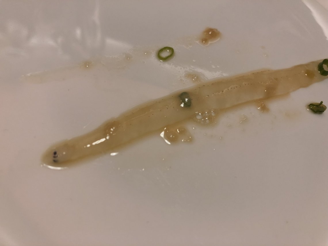 バカの芽の天ぷらと のれそれ 日刊わしら Hiroshima Daily Washira