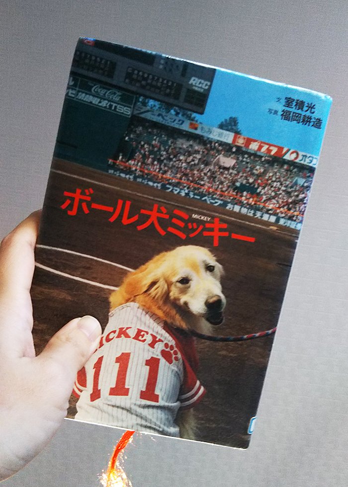 ボール犬ミッキー 日刊わしら Hiroshima Daily Washira