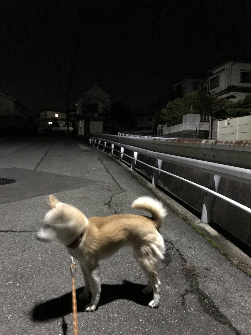 へぇ 日刊わしら Hiroshima Daily Washira