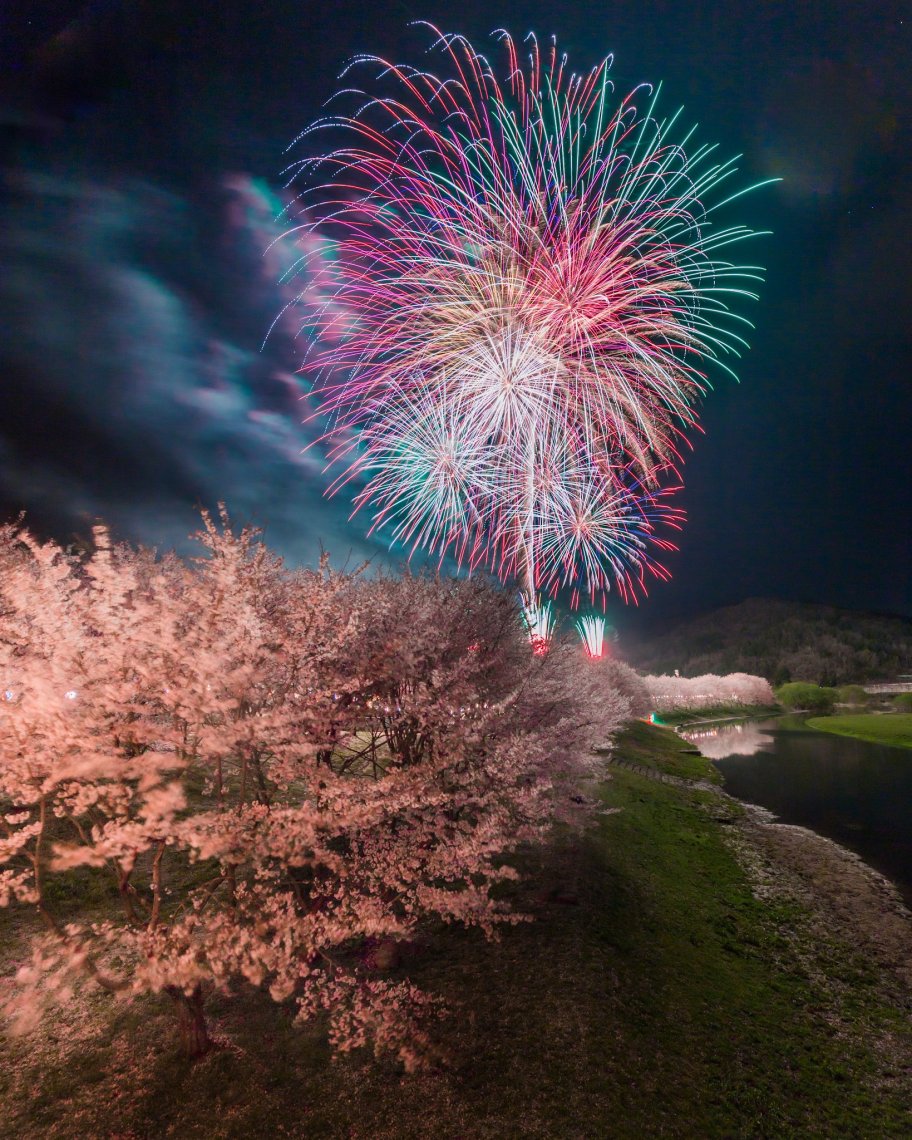 三原の桜 といえば 日刊わしら Hiroshima Daily Washira