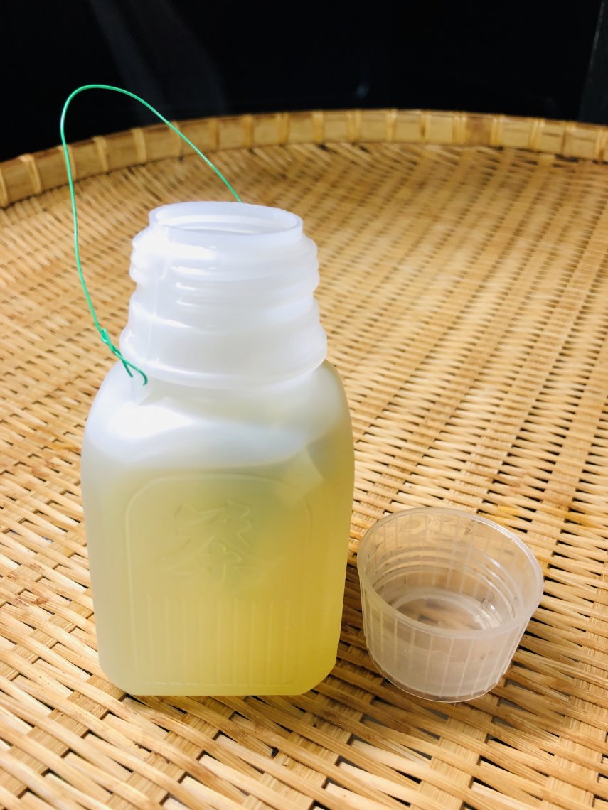 限定販売するっ茶🍵 | 日刊わしら - HIROSHIMA DAILY WASHIRA