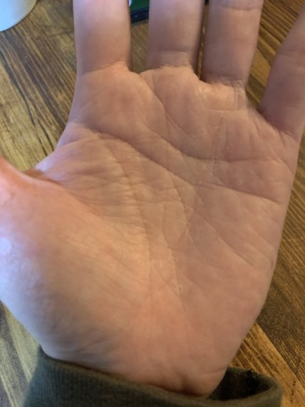 いろんな壁を乗り越えてきた成功者の手相です ただ あなたが独身なら男選びは慎重に 日刊わしら Hiroshima Daily Washira