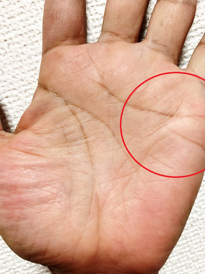 青川 素丸 日刊わしら Hiroshima Daily Washira