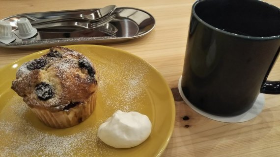 うさぎっく 日刊わしら Hiroshima Daily Washira