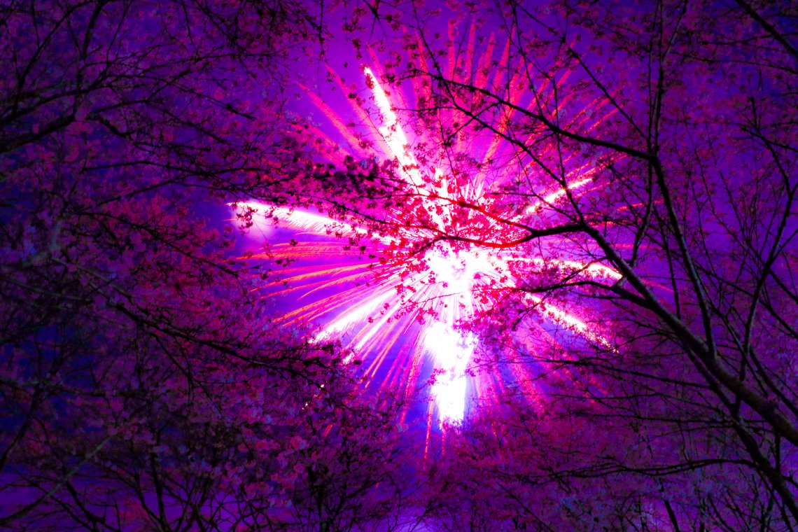 広島で一番早い花火大会 日刊わしら Hiroshima Daily Washira